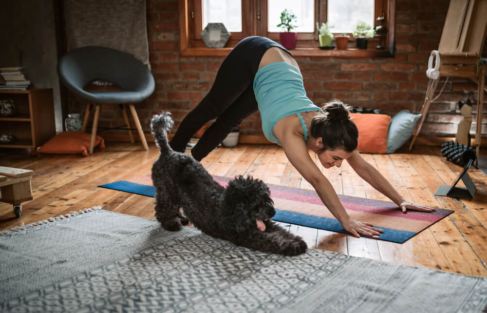 A woman doing yoga with her dog